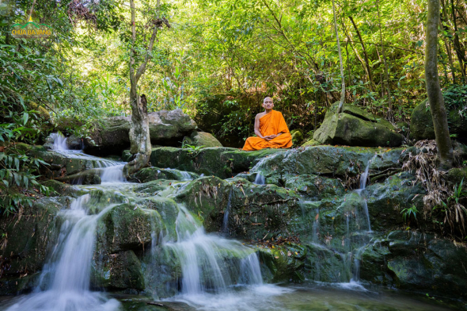 Thiền tuệ là phương pháp thiền giúp chúng ta phát sinh trí tuệ, ra khỏi luân hồi sinh tử