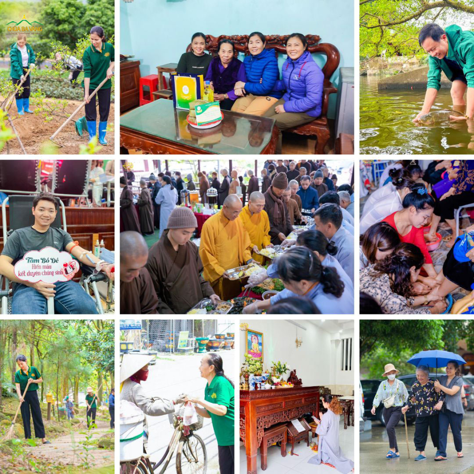 Chúng ta nghe lời Phật dạy thấy là đúng, chúng ta bắt đầu ứng dụng, thực hành được lợi ích