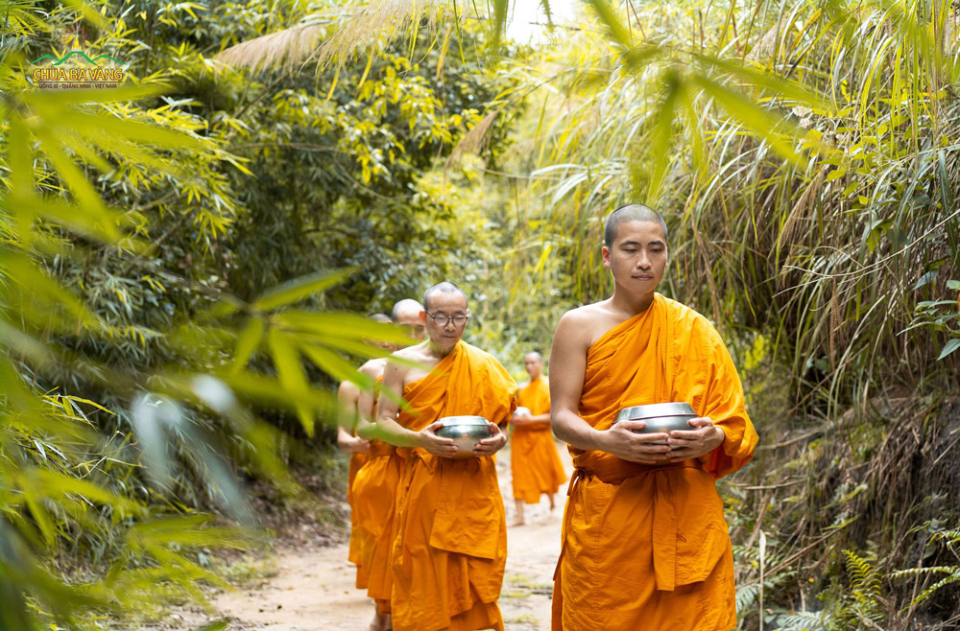 Nắng nóng cũng như mưa giông, đều đặn mỗi sáng, chư Tăng đi ôm bình bát đi khất thực rồi trở lại rừng tiếp tục tu hành