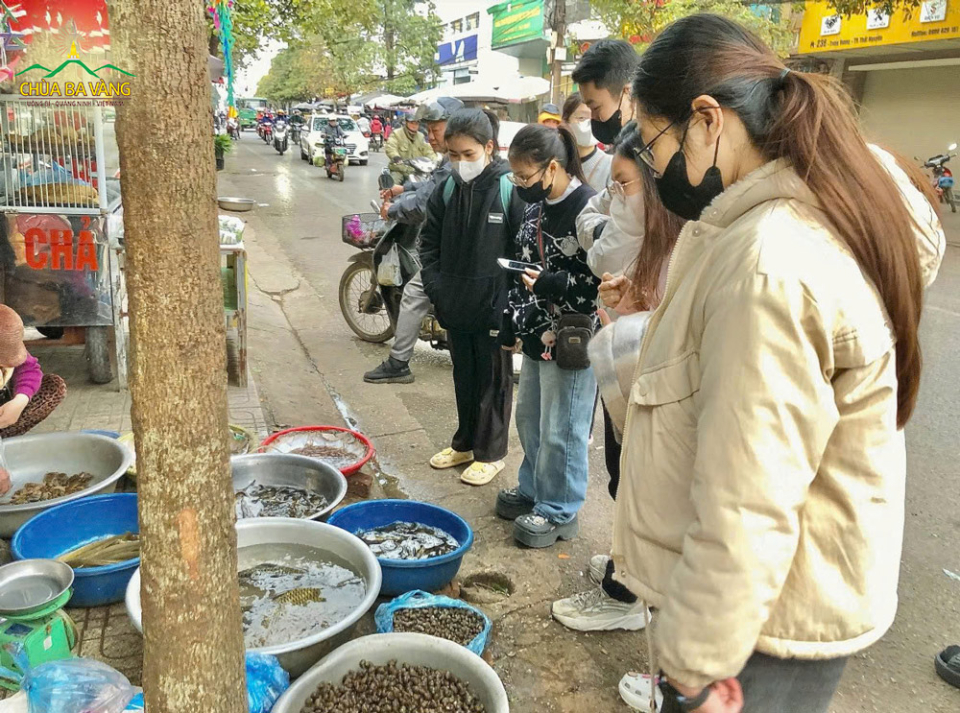 Tình cờ gặp các con vật sắp bị giết, ta có thể tùy duyên mua để phóng sinh, không nên đặt trước