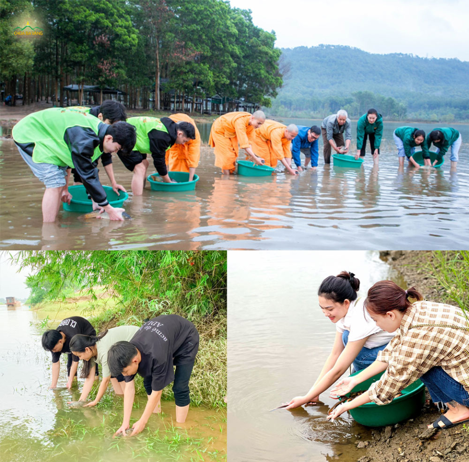 Nếu không sát sinh mà còn biết phóng sinh, cứu người, cứu vật thì phước báu được tăng trưởng