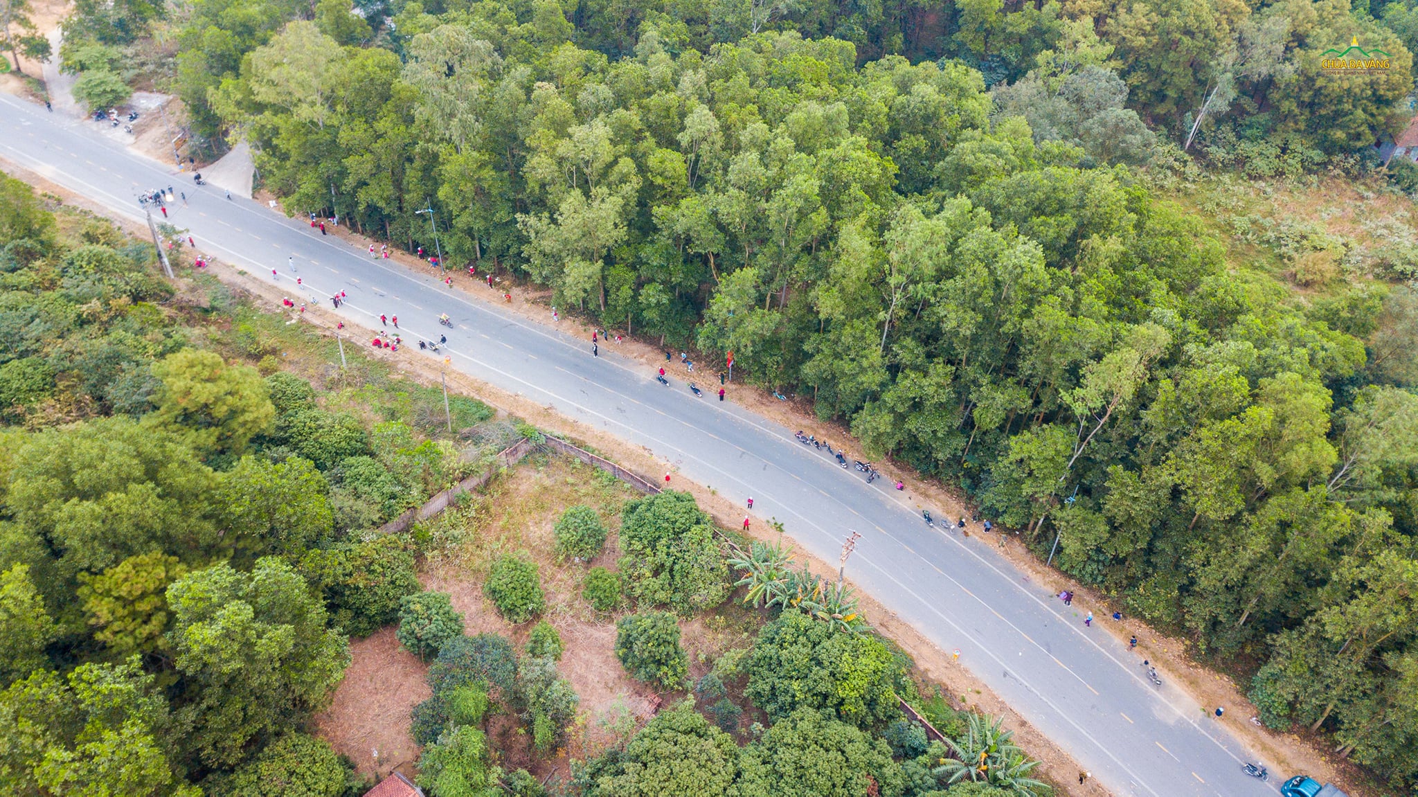 50.000 cây xanh được trồng trên tuyến đường Lựng Xanh, phường Quang Trung, thành phố Uông Bí
