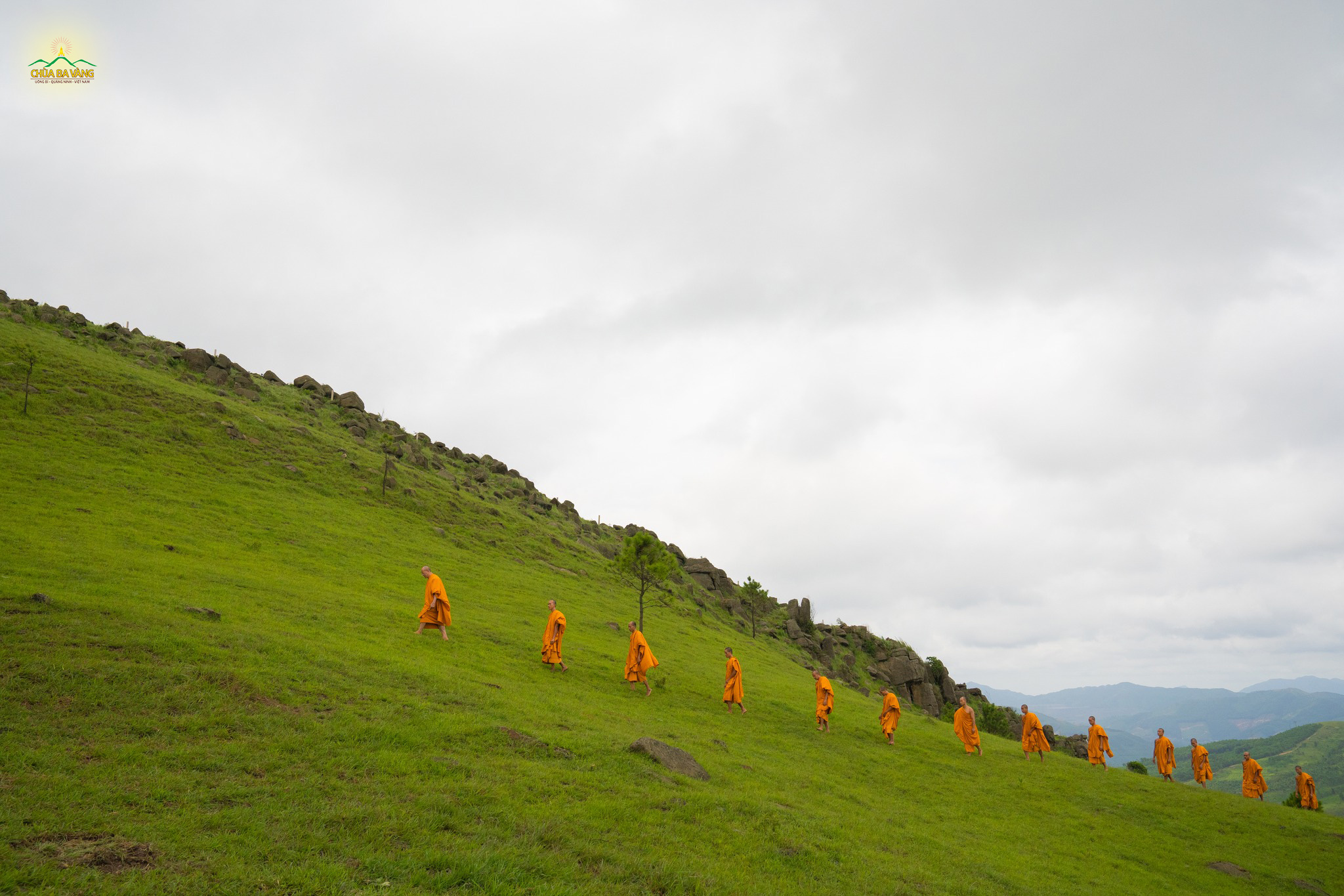 Thầy Thích Trúc Thái Minh dẫn đầu chư Tăng chùa Ba Vàng thiền hành ở trong rừng
