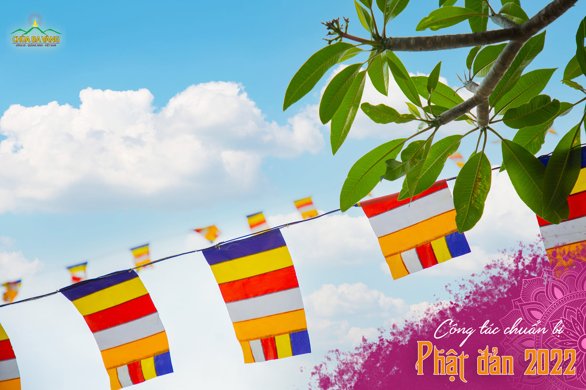 Những lá cờ Phật giáo rực rỡ sắc màu trên non thiêng Thành Đẳng
