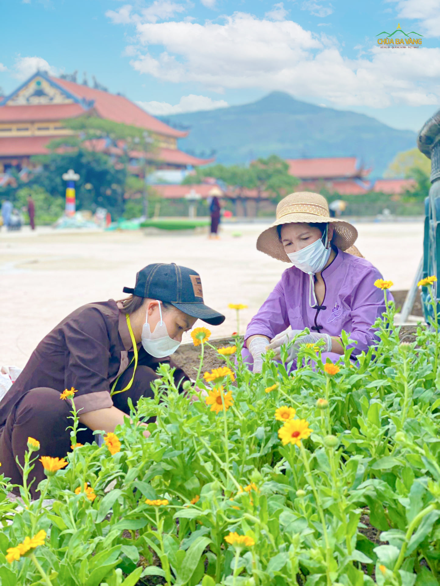 Các bồn hoa xung quanh khu vực tượng Phật đản sinh được đã được các Phật tử trồng hoa, để chuẩn bị đón mừng Đại lễ Phật đản 2022