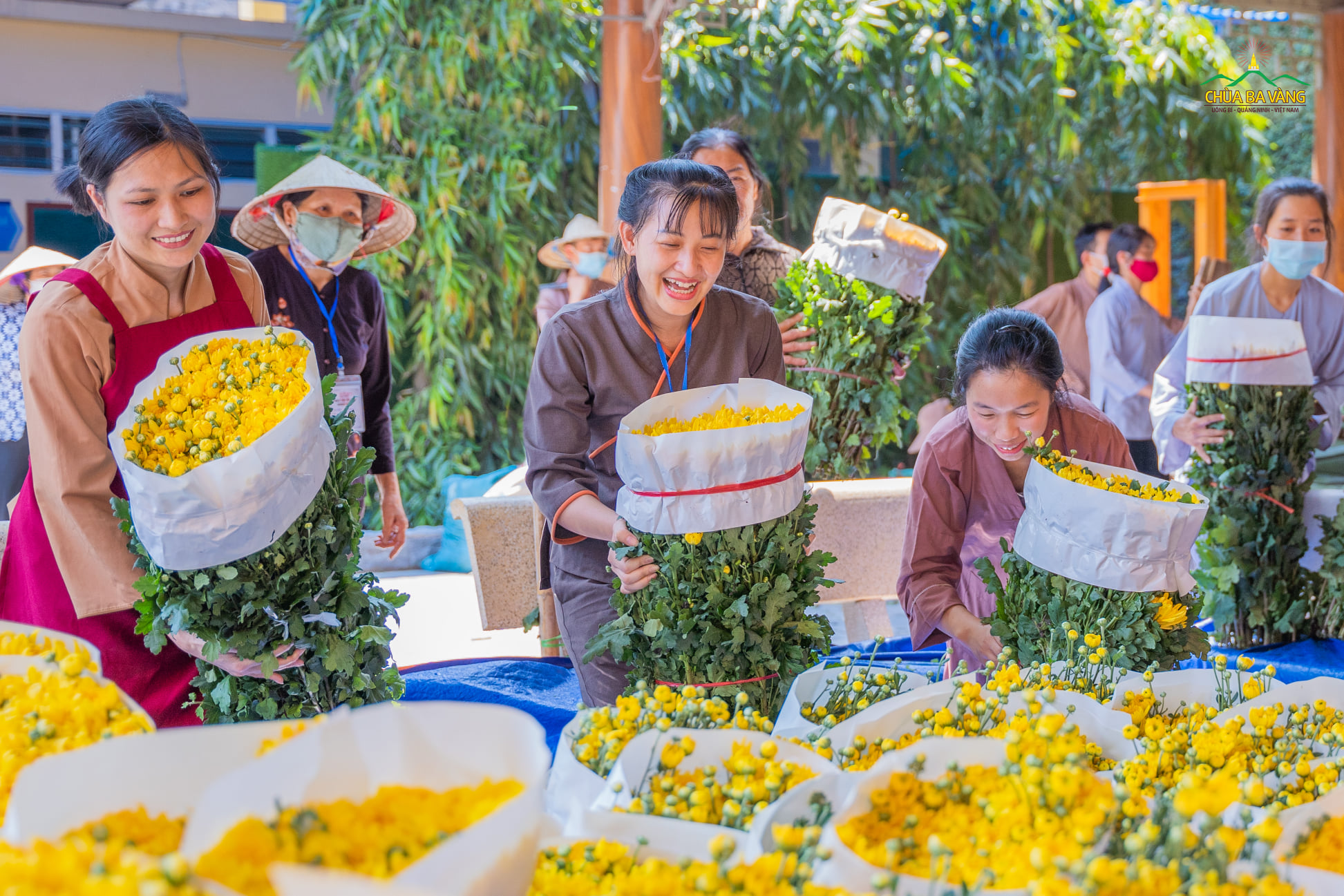 Từ làng hoa Tây Tựu, 5 vạn bông hoa đã được chuyển về chùa Ba Vàng