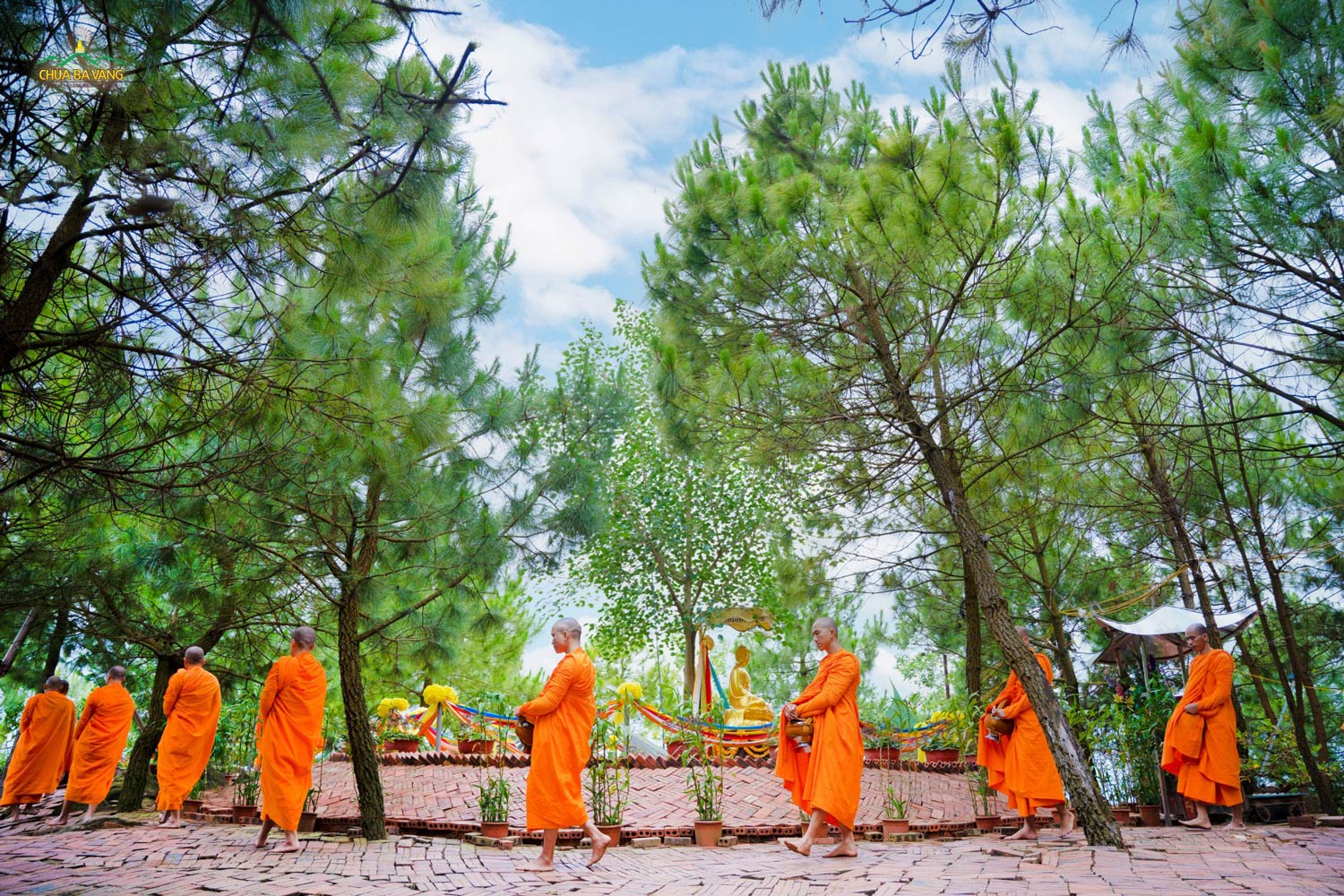 Chư Tăng trì bình khất thực tại đỉnh núi Bồ đề, chùa Ba Vàng