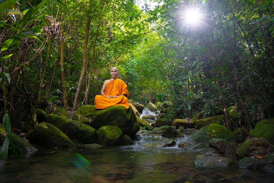 Thiền định là “liều thuốc” rất bổ dưỡng cho thân tâm chúng ta