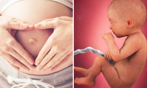 Giữa người mẹ và thai nhi đã có sự kết nối với nhau ngay từ trong bụng