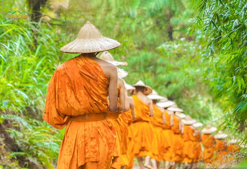 Hình ảnh Tăng đoàn chùa Ba Vàng tự tại ôm bình bát dưới trời mưa