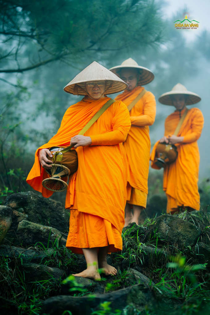 Tâm nguyện của Thầy Thích Trúc Thái Minh là xây dựng Tăng đoàn tu hạnh đầu đà như thời Phật tại thế
