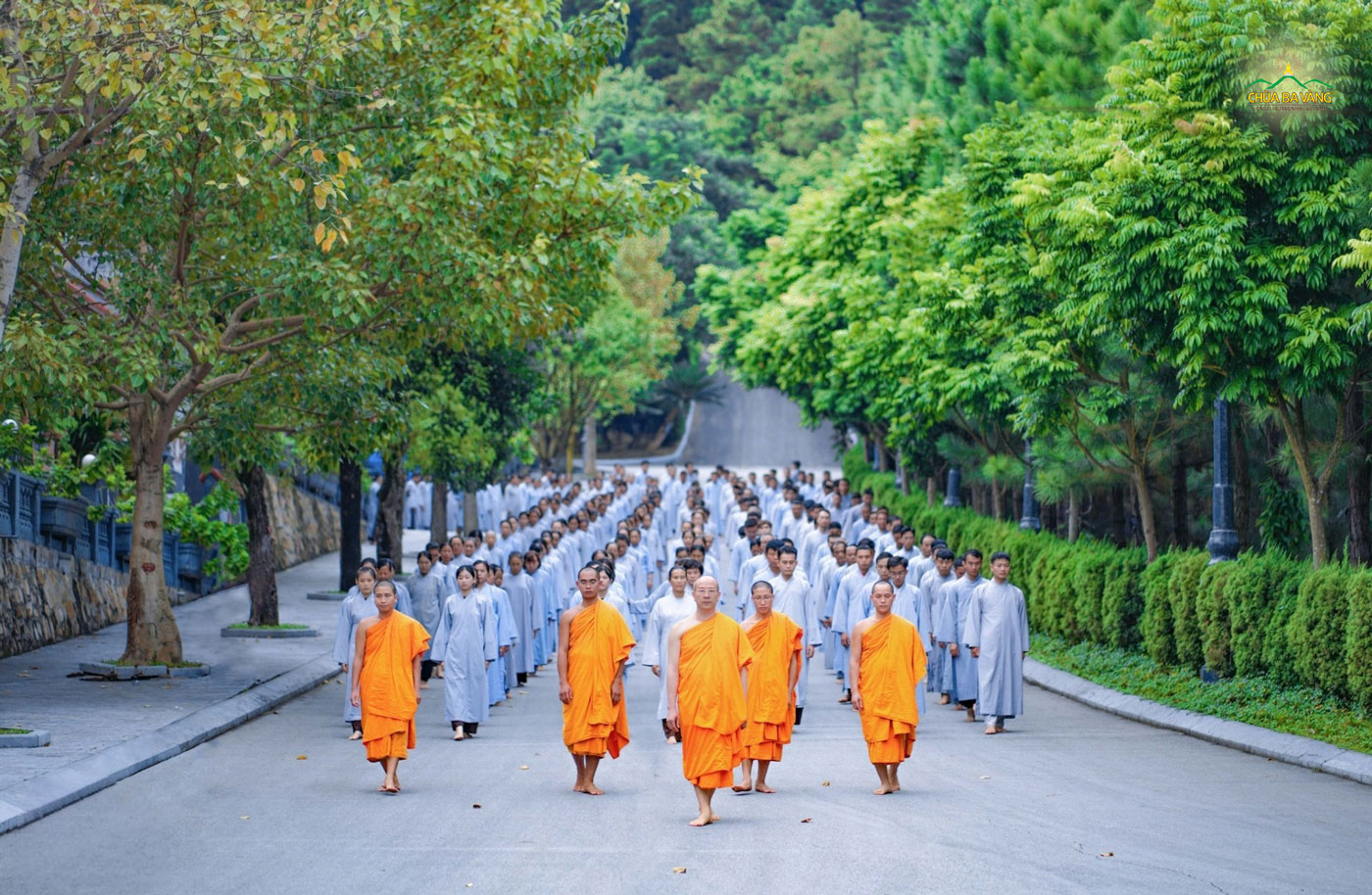 Phật tử chùa Ba Vàng tu tập chuyên nhất theo sự dẫn dắt của Thầy Thích Trúc Thái Minh và chư Tăng chùa Ba Vàng