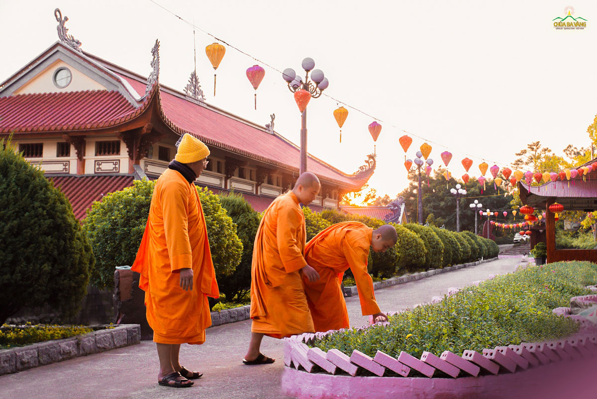 Từng tiểu cảnh trong khuôn viên chùa được Sư Phụ Thích Trúc Thái Minh cùng chư Tăng tỉ mỉ kiểm tra