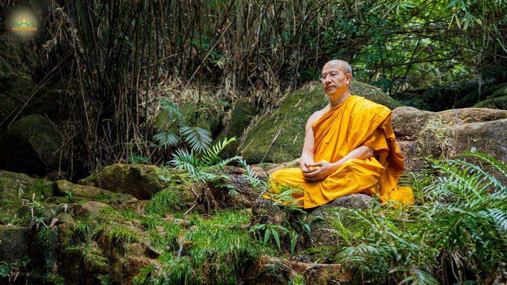 Vâng theo lời Đức Phật dạy, Sư Phụ Thích Trúc Thái Minh giáo dưỡng chư Tăng chùa Ba Vàng tu tập trong rừng, hành các pháp đầu đà