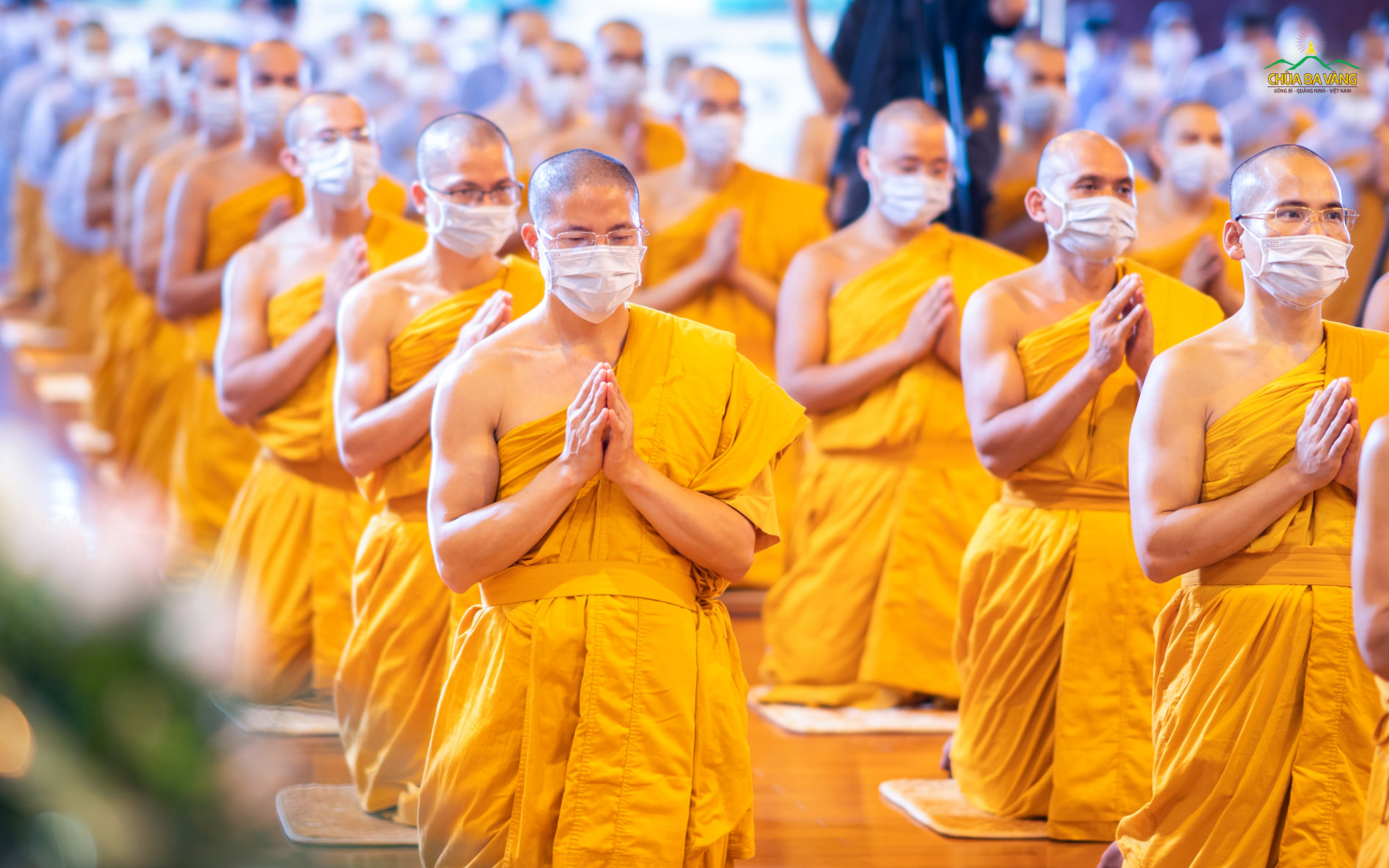Hướng về Sư Phụ, tứ chúng đã dũng mãnh phát nguyện Bồ đề, để vững bước trên con đường tầm cầu Phật quả