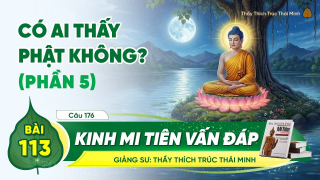 [Video] Có ai thấy Phật không? - Kinh Mi Tiên Vấn Đáp câu 176 (Phần 5) | Bài 113