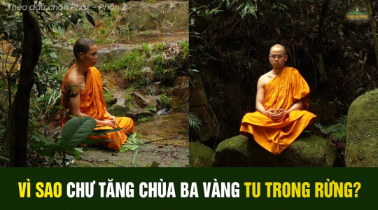 Vì sao chư Tăng chùa Ba Vàng tu tập trong rừng? | Theo dấu chân Phật - Phần 2