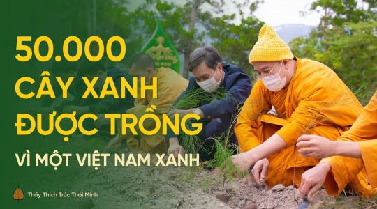 50.000 cây xanh được trồng mới - Chùa Ba Vàng chung tay cùng TP. Uông Bí bảo vệ môi trường