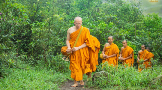 Tiếp nối bước chân Phật Hoàng Trần Nhân Tông - chư Tăng chùa Ba Vàng thực hành Pháp đầu đà cao quý