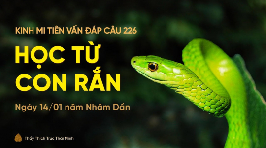 Học từ con rắn | Kinh Mi Tiên Vấn Đáp câu 226