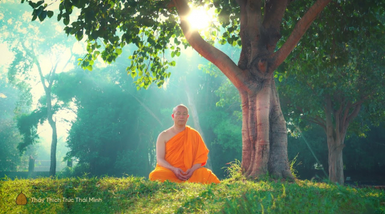 Thiền - Cốt tủy của đạo Phật - Phương pháp thành tựu trí tuệ của bậc Thánh
