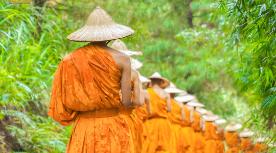 Chư Tăng khất thực, hành hạnh đầu đà trong rừng thiền chùa Ba Vàng