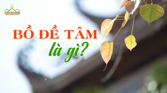 Lợi ích của phát tâm Bồ đề trên con đường học Phật