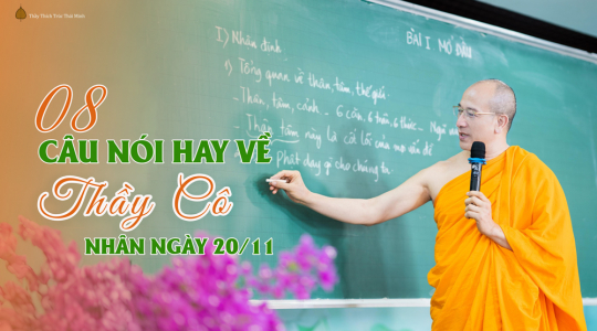 Những câu nói hay về lòng biết ơn thầy cô nhắc ta sống trọn nghĩa tình