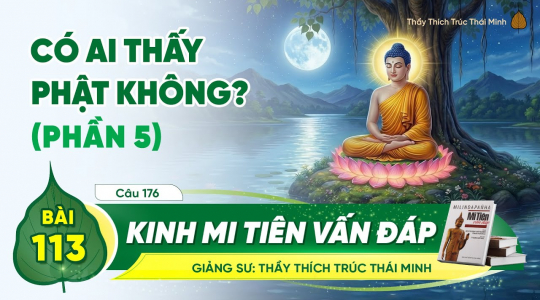 [Video] Có ai thấy Phật không? - Kinh Mi Tiên Vấn Đáp câu 176 (Phần 5) | Bài 113