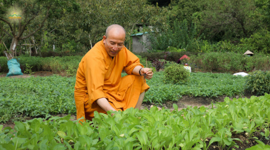 Có nên cho gạo, muối...bộ tam cúc, lá đào vào trong quan tài?