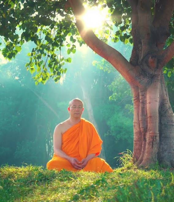 [Video] Thiền - Cốt tủy của đạo Phật - Phương pháp thành tựu trí tuệ của bậc Thánh