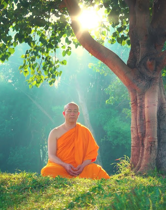[Video] Thiền - Cốt tủy của đạo Phật - Phương pháp thành tựu trí tuệ của bậc Thánh